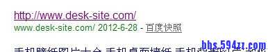 快照只有网址
