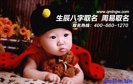 取名推广图片_12.gif