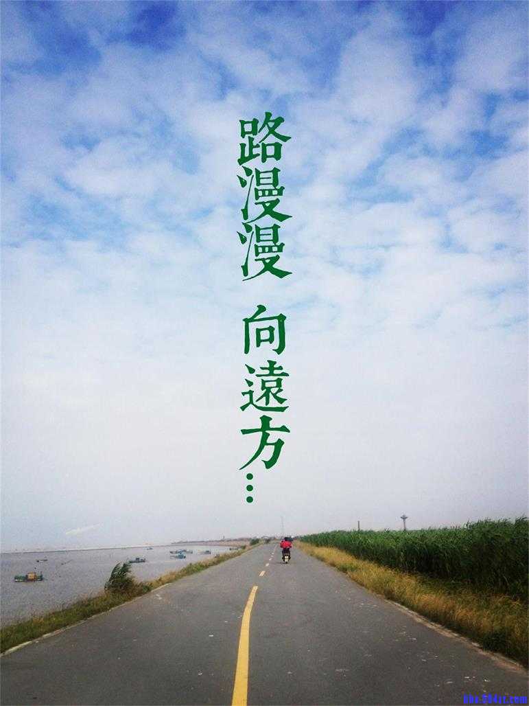 SEO指路者