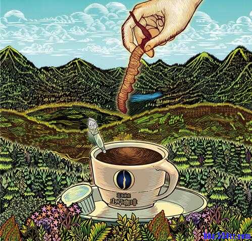 虫草咖啡 蓝海康程4.jpg