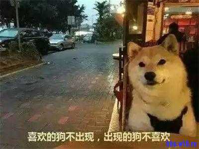 -1_180109120302_1.jpg